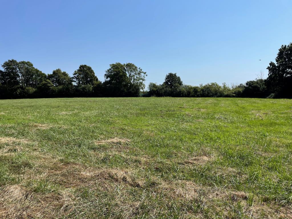Lot: 60 - 1.53 ACRES WITH RESIDENTIAL PLANNING FOR FIVE UNITS - View of paddock facing north